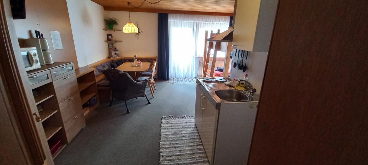 Studio Hochzillertal Mit Sauna & E-Ladestation Διαμέρισμα Ried im Zillertal Εξωτερικό φωτογραφία