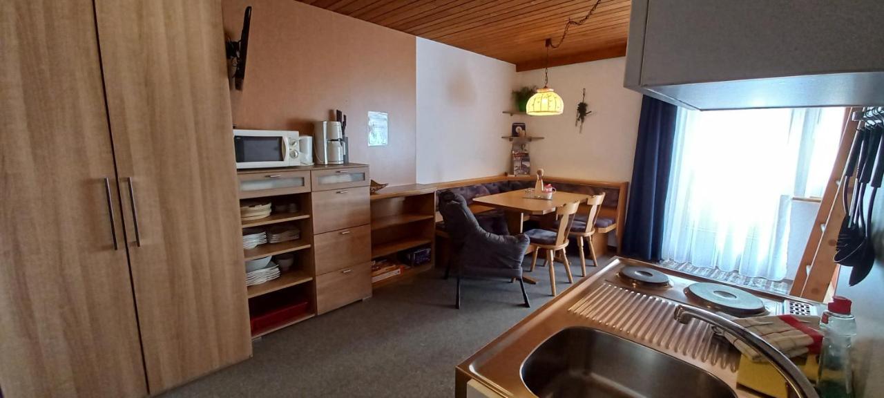 Studio Hochzillertal Mit Sauna & E-Ladestation Διαμέρισμα Ried im Zillertal Εξωτερικό φωτογραφία